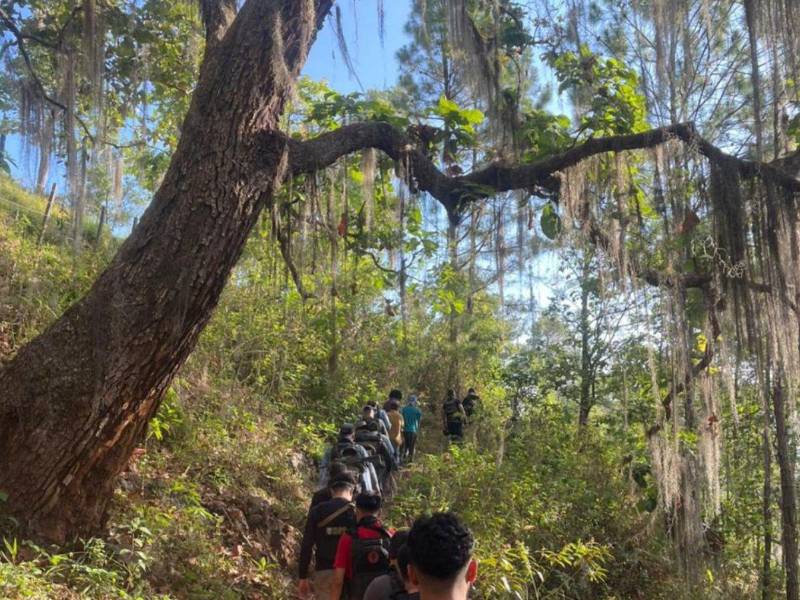 De acuerdo con la información policial, el procedimiento forma parte de las acciones operativas orientadas a combatir el tráfico de drogas y reducir la incidencia delictiva en el departamento de Olancho.
