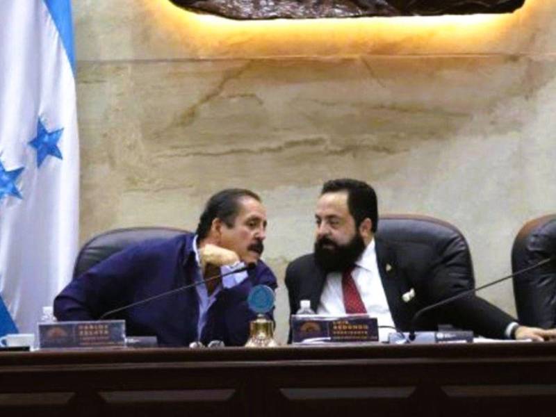 Luis Redondo, expresidente del Congreso Nacional, y Carlos Zelaya, exdiputado.