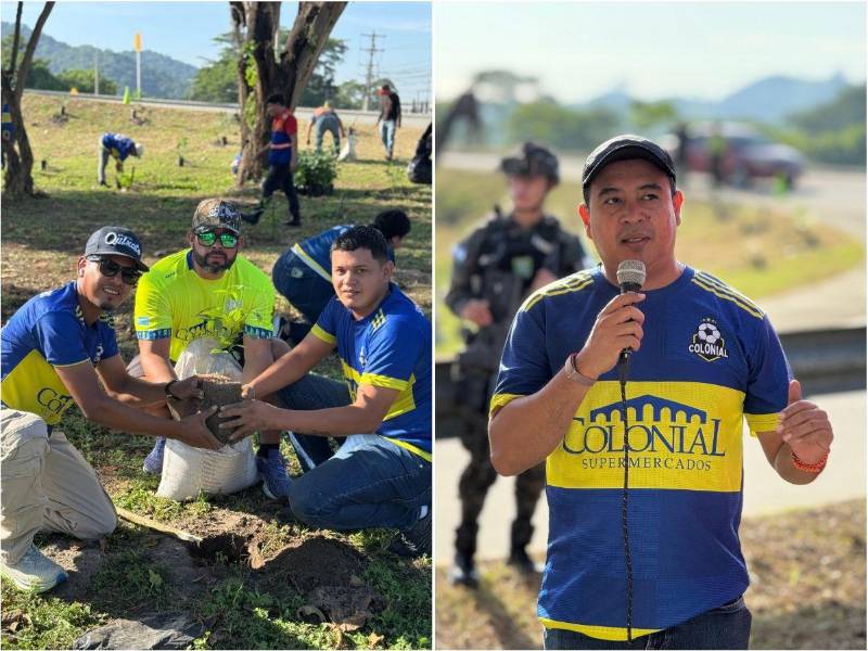 Supermercados Colonial y Alcaldía SPS impulsan histórica reforestación con macuelizos