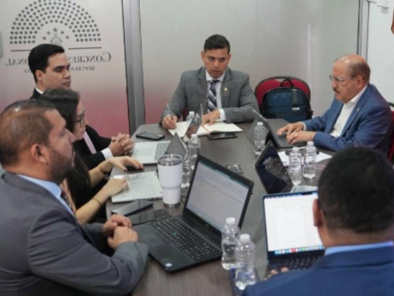 La comisión de trabajo a tiempo parcial del Congreso Nacional.