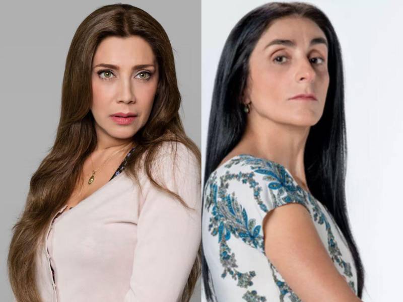 La nueva temporada de La Casa de los Famosos México sigue dando de qué hablar en la industria del espectáculo. Ahora la participante que se robó todos los reflectores fue la actriz, Cynthia Klitbo, quien destapó su fuerte rivalidad con Bárbara Torres, protagonista de La Familia P.Luche.