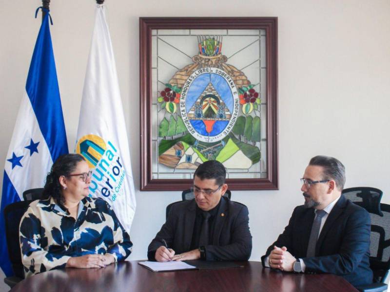 Ricardo Alfredo Montes, nuevo titular del Tribunal Superior de Cuentas (TSC).