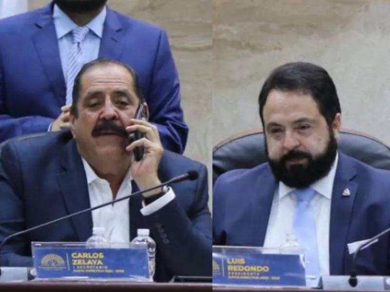 Luis Redondo, expresidente del Congreso Nacional, y Carlos Zelaya, exdiputado.