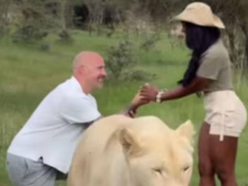 La muerte de la querida influencer Ashlee Jenae ha generado mucha controversia en el mundo del espectáculo debido a que su deceso se da en extrañas circunstancias y a horas de haber celebrado su cumpleaños número 31 y de haber anunciado su compromiso con su novio Joe McCann.