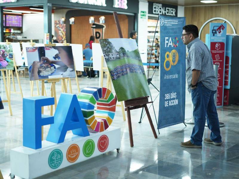 La terminal aérea abrió una exhibición en conmemoración del 80 aniversario de la FAO, como un recordatorio de los lazos de amistad y cooperación.