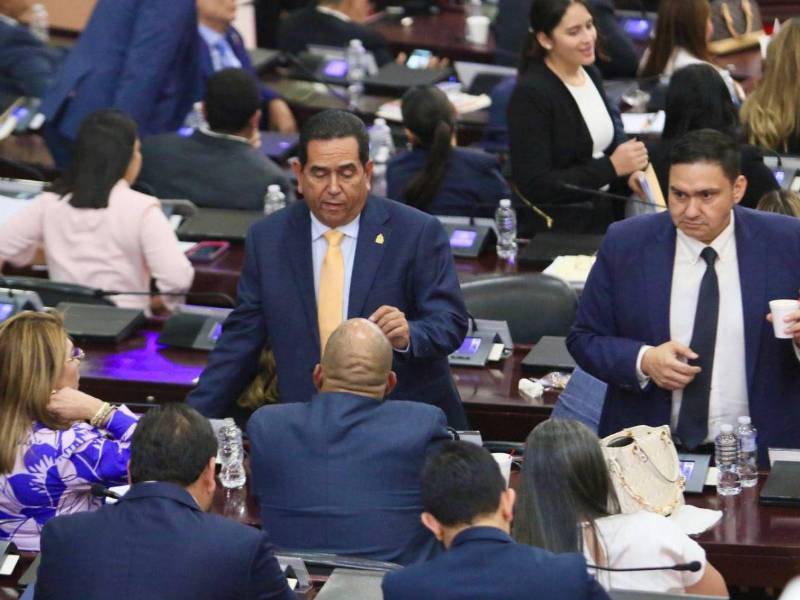 La comisión especial tiene hasta el 25 de mayo para presentar la nómina de los 24 aspirantes.