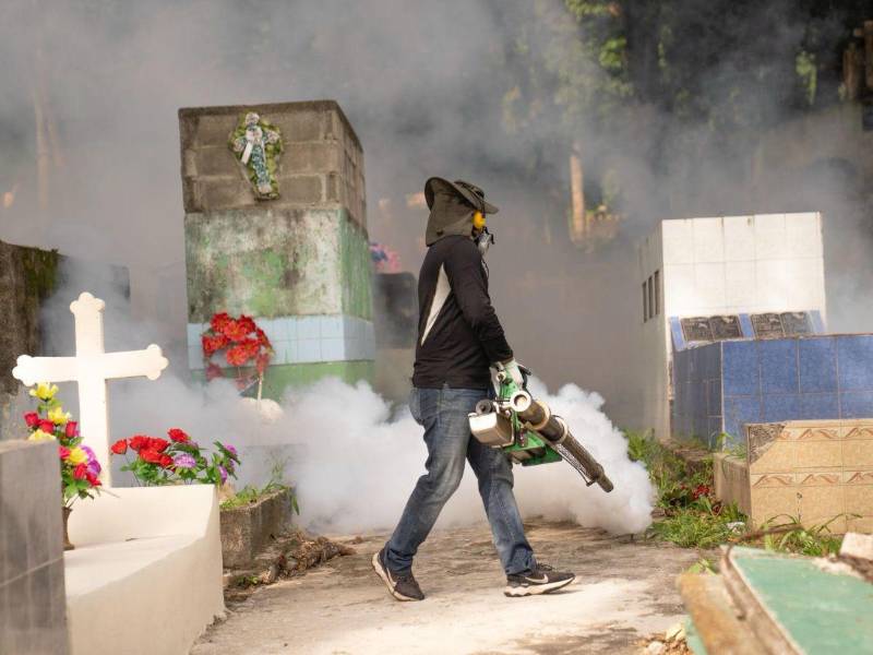 Actualmente se realizan operativos de fumigación para evitar la transmisión del zancudo.