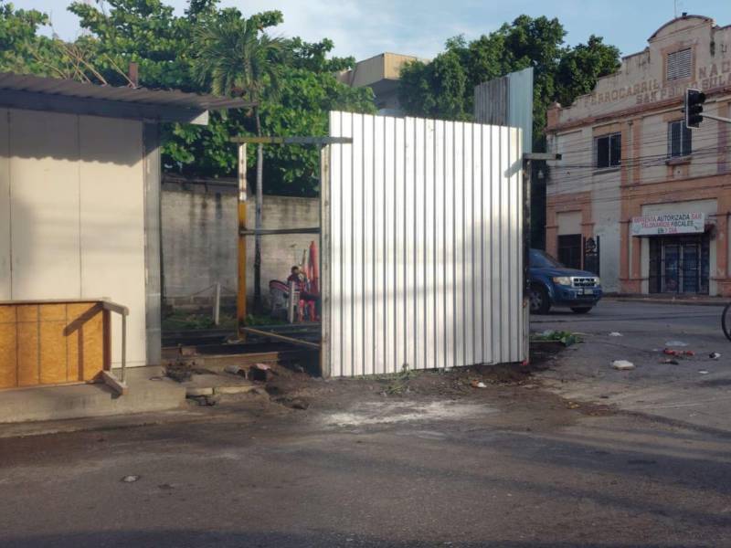 Organizaciones denunciaron que nuevos vendedores han cortado árboles para instalar sus negocios de láminas y madera en la 1 calle, 1 avenida.