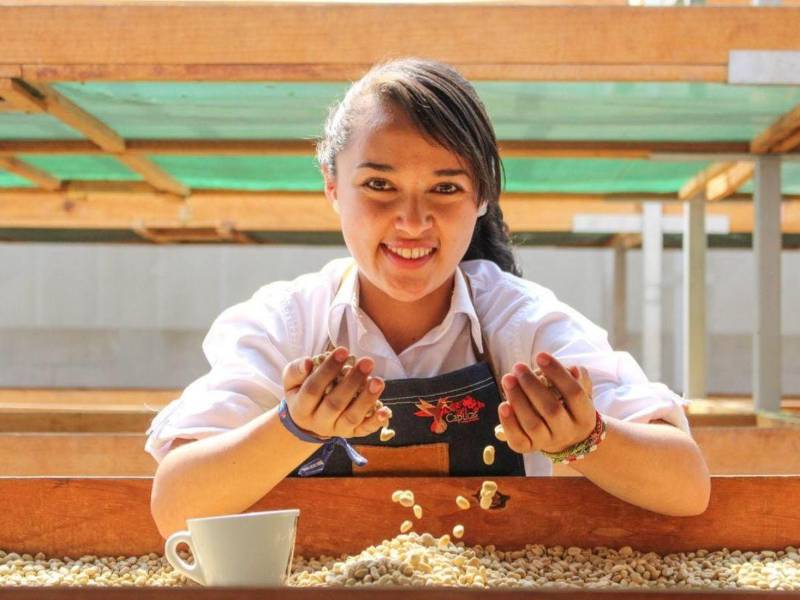 La presencia de mujeres en las diferentes áreas de la industria es reflejo de una transformación más amplia del sector cafetalero.