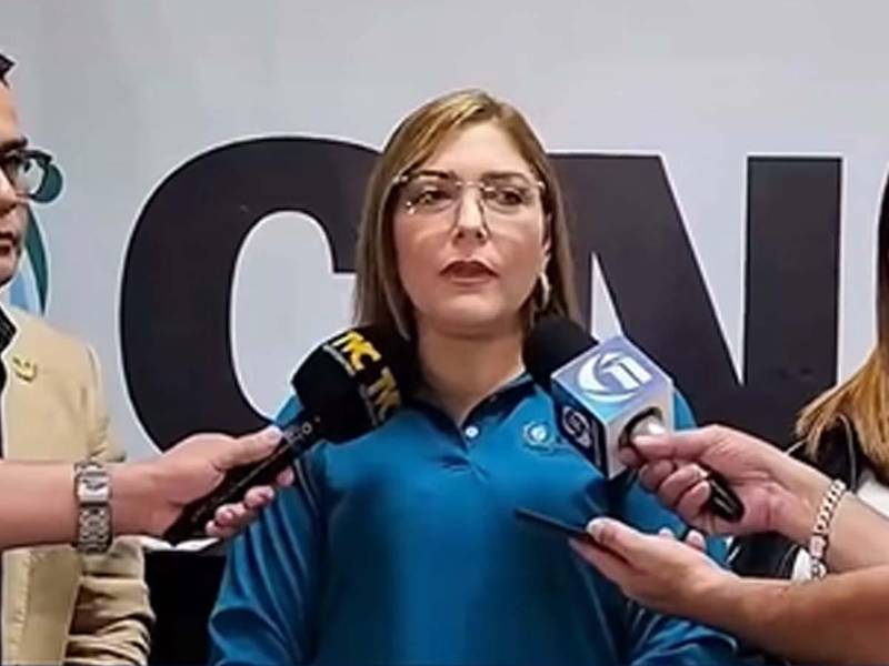 Ana Paola Hall, consejera del Consejo Nacional Electoral (CNE).