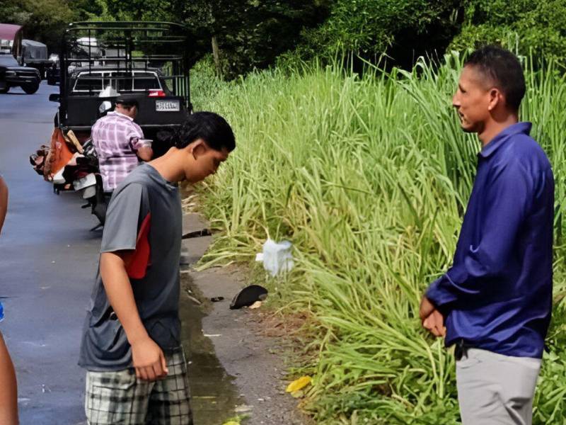 Lugar del accidente en la carretera CA-13 .