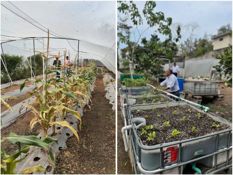 Supermercados Colonial celebró una jornada ambientalista por el Día Mundial del Medio Ambiente