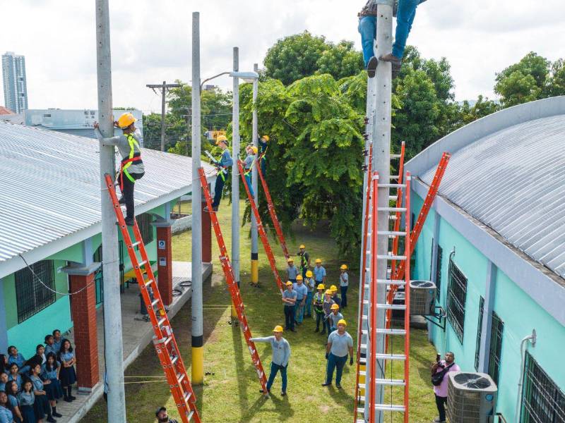 Los jóvenes de los institutos técnicos durante su práctica en campo, supervisados por los maestros y profesionales.