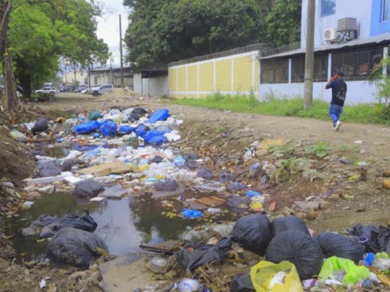 Se necesitaran varios dias para poder dejar limpia la ciudad pues la acumulación de desechos es grande.