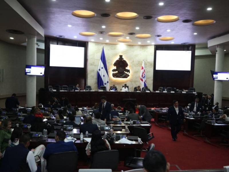 Tomás Zambrano, presidente del Congreso Nacional, descartó nuevas exenciones tributarias sobre las ganancias de las empresas generadoras.