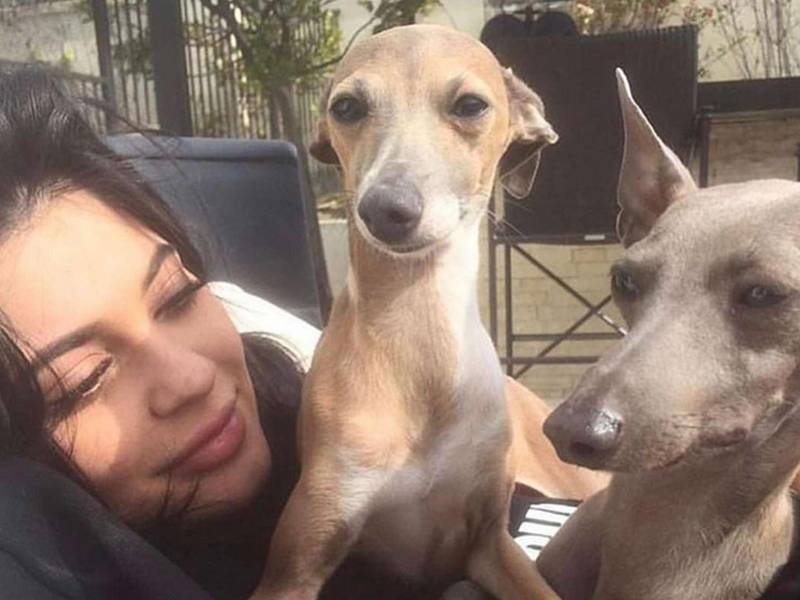 Kylie Jenner lamenta la pérdida de su mascota.