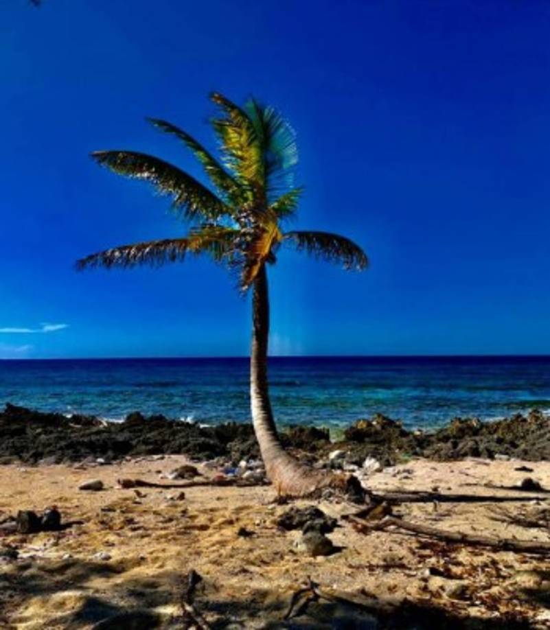 Utila ha sido considerada como un tesoro oculto en el caribe hondureño, sus bellezas naturales asombras a los que llegan a conocer la isla bonita de Honduras.