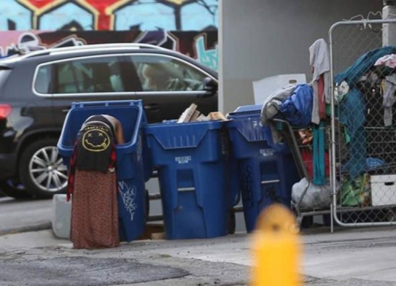 Loni pasó de un infierno con su exmarido quien intentó estrangularla en una de sus sesiones de drogas a vivir en la calle con sus brazos, piernas, dedos de los pies y uñas estaban ennegrecidos por la suciedad, con varios dientes faltantes producto de las drogas y mal higiene, ella ha relatado a varios medios de comunicación que nadie se muere de hambre en LA, pero que se ensucia lo más posible para que no le roben sus ropa que carga en un carrito de supermercado y dinero.