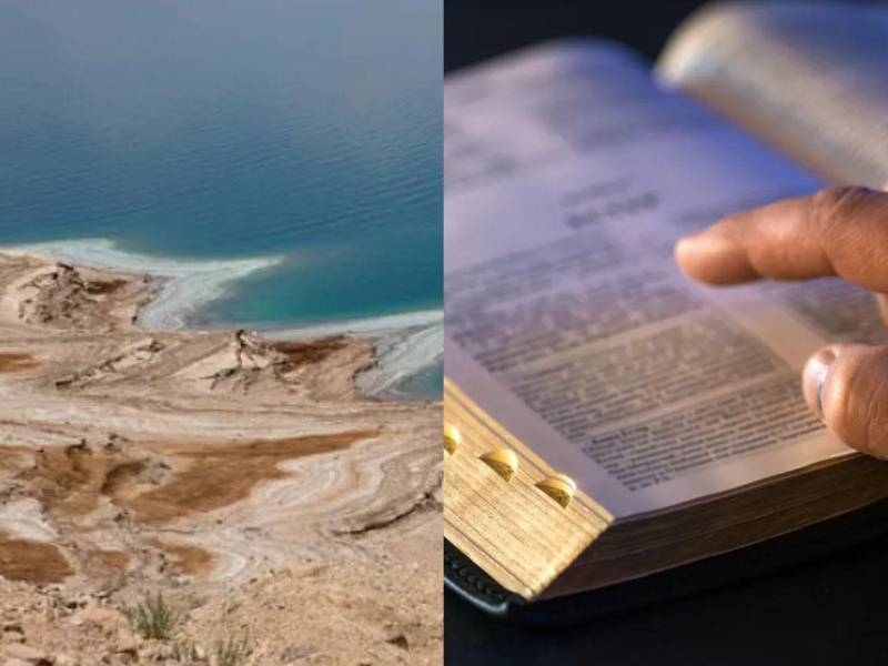 La aparición de pozas de agua dulce en las inmediaciones del Mar Muerto ha despertado el interés de científicos y de miles de personas en redes sociales, luego de que se informara sobre este inusual fenómeno registrado en una de las regiones más salinas del planeta.