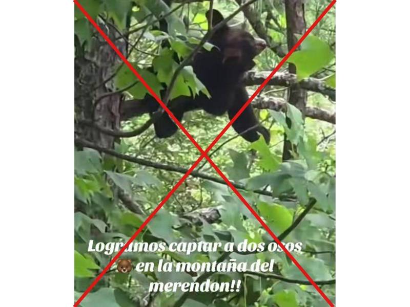 Captura de pantalla a una publicación de TikTok, hecha el 16 de julio de 2026.