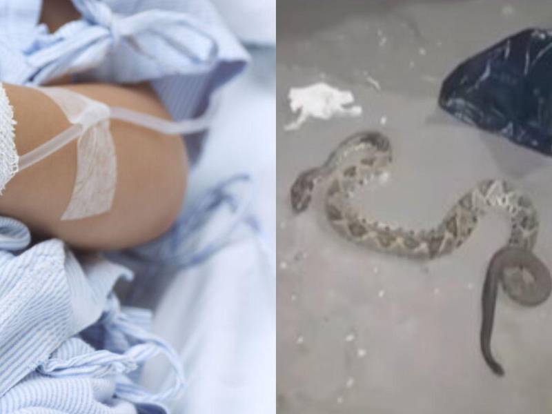 El menor fue ingresado de inmediato y permanece bajo observación médica mientras especialistas evalúan su condición clínica.