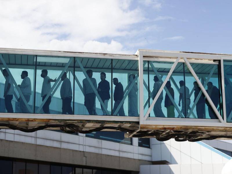 El juez Murphy ordenó la anulación de la iniciativa de deportación, aunque dio una espera de 15 días para que entre en vigor, plazo en el que el Gobierno de Trump podría apelar la decisión.