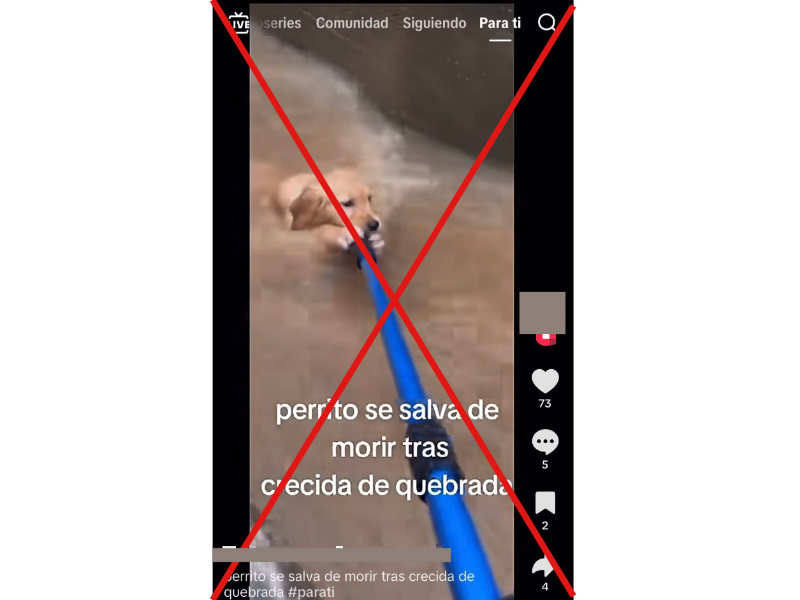 Captura de pantalla a una publicación de Tik Tok, hecha el 5 de octubre de 2026