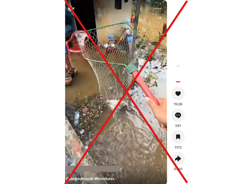Captura de pantalla a una publicación de Tik Tok, hecha el 5 de octubre de 2026