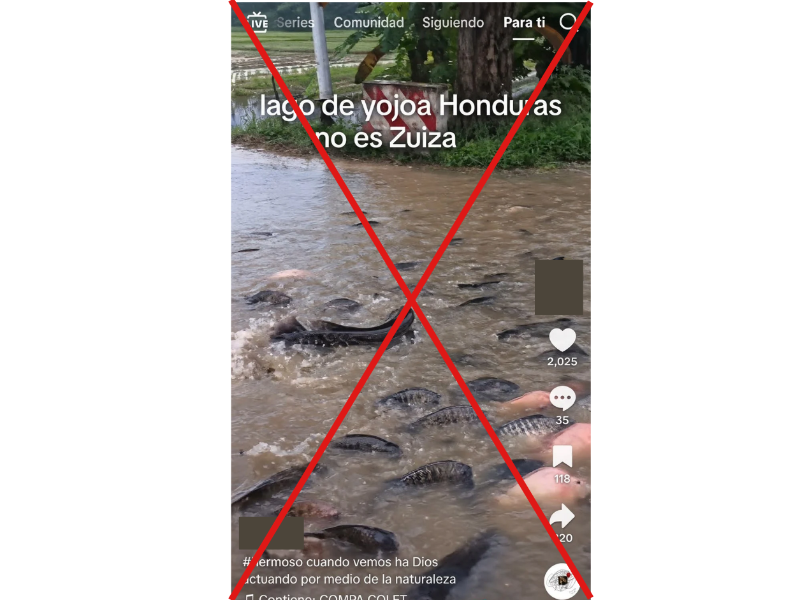 Captura de pantalla a una publicación de Tik Tok hecha el 6 de octubre de 2026