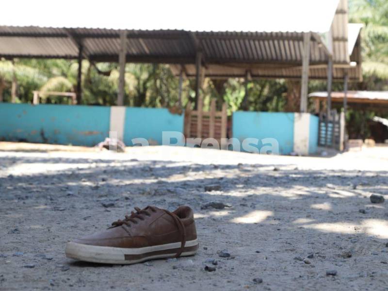 Al menos 11 personas perdieron la vida en una masacre registrada en la madrugada de este jueves dentro de una finca de palma africana en la aldea Rigores, Trujillo, Colón, región oriental de Honduras.