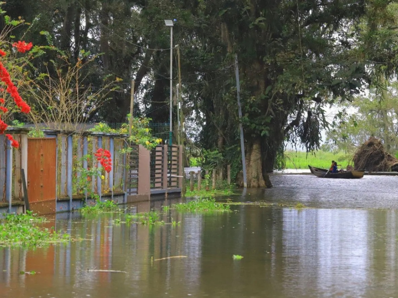Inundaciones en los alrededores del Lago de Yojoa