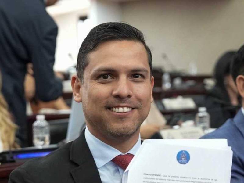 El parlamentario Alberto Cruz subrayó que no existe una norma constitucional ni en la Ley Electoral que obligue a que un partido específico tenga representantes permanentes en el CNE y TJE.