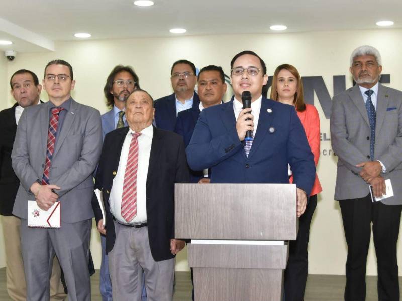 El Pleno de Consejeros del Consejo Nacional Electoral (CNE) conoció la propuesta de reforma a la Ley Electoral presentada por una comitiva de exautoridades del antiguo TNE, TSE y CNE el 23 de julio de 2026.