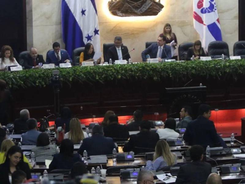 El CNA considera que las reformas electorales deben ir más allá de cambios a plazos, quórums y sanciones y abordar la independencia de las instituciones que administran las elecciones.