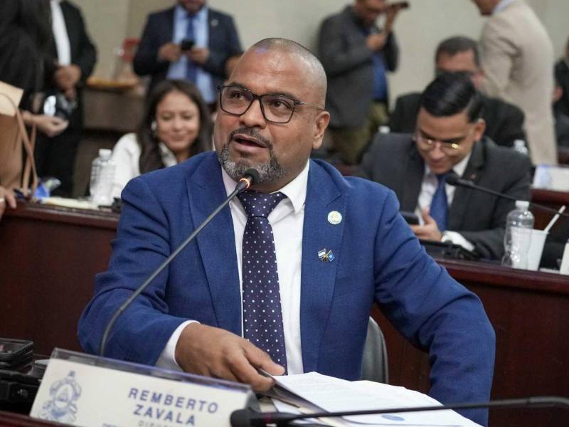 Remberto Zelaya, diputado del Partido Nacional por Atlántida, fue quien presentó el anteproyecto de ley ante el Congreso Nacional.