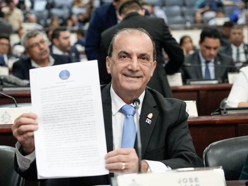 La iniciativa presentada por José Jaar contempla una modificación específica a la normativa que regula los colores de la Bandera Nacional.