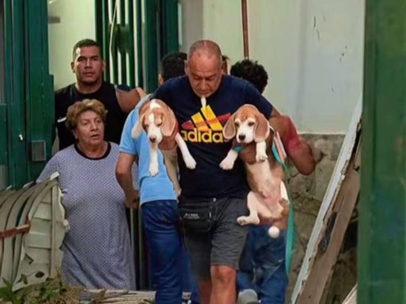 Momento en que venezolano salva a sus dos perros tras los fuertes terremotos en Venezuela