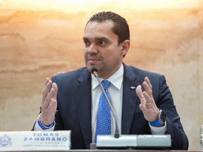 Tomás Zambrano, presidente del Congreso Nacional (2026-2030).