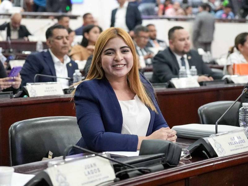 Ileana Velásquez, diputada del Partido Nacional por Choluteca, fue quien presentó la iniciativa ante el pleno del Congreso Nacional.