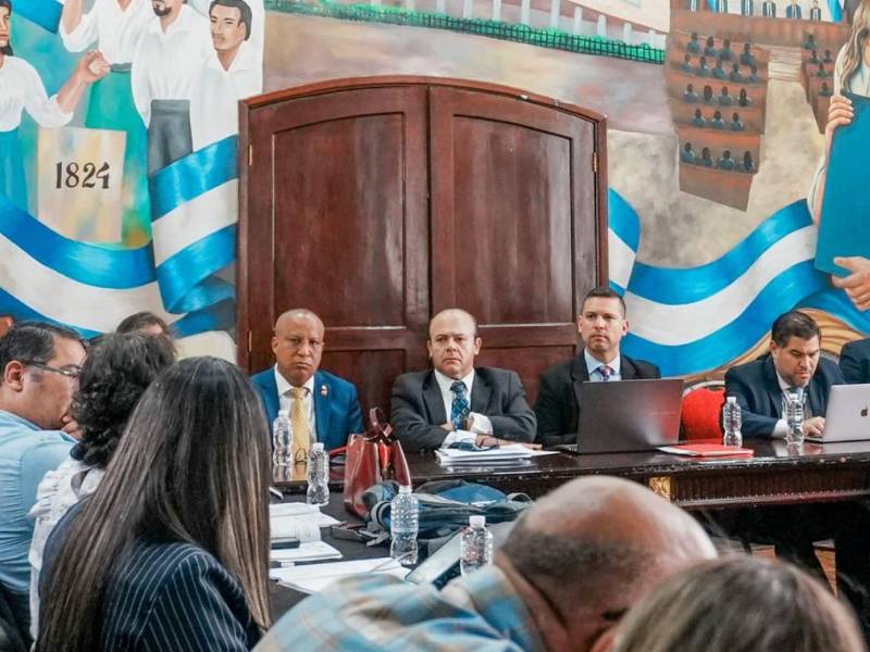 El proyecto de ley fue introducido formalmente en el hemiciclo el pasado 6 de agosto por la diputada y vicepresidenta del Congreso Nacional, Johana Bermúdez.