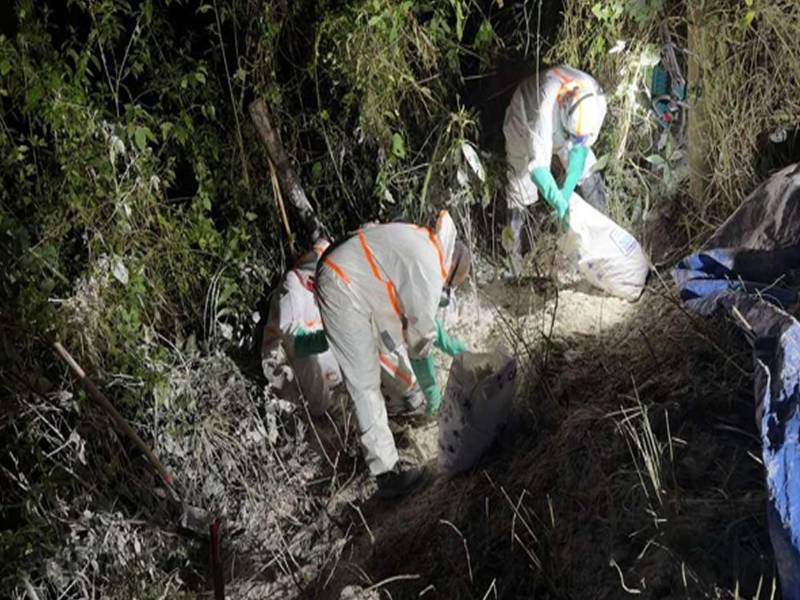 Las autoridades también informaron que, hasta el momento, se ha logrado recuperar y tratar cerca del 80 % del producto derramado.