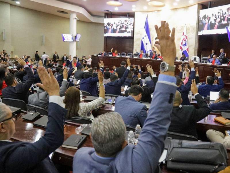 La Comisión de Familia convocará al Ministerio Público, la Policía Nacional, ARSA, la DPI y otras instituciones para analizar denuncias sobre la promoción de abortos mediante redes sociales y plataformas digitales.