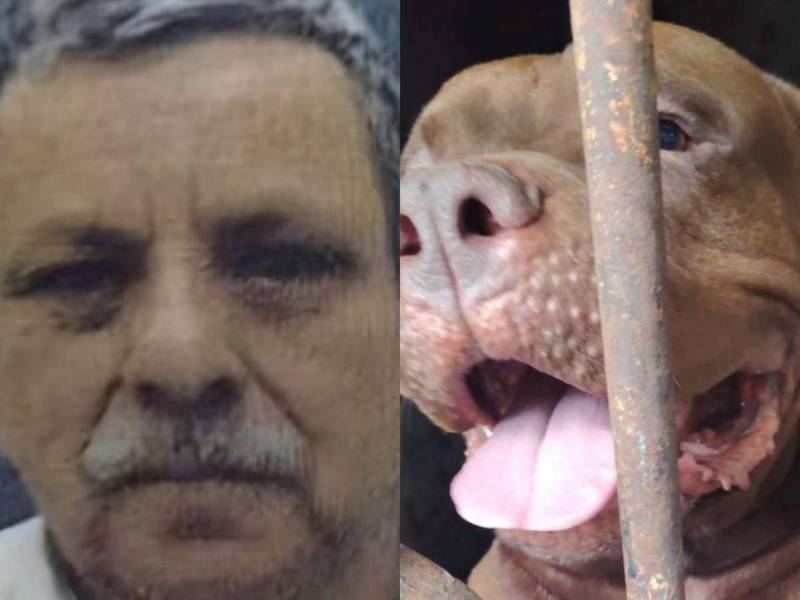 La Dirección de Medicina Forense del Ministerio Público confirmó este jueves que Alex Alfonso Maldonado Bonilla, de 75 años, murió de manera accidental a consecuencia de las mordeduras de su perro Zeus, caso ocurrido el pasado lunes 21 de septiembre en la colonia Hato de Enmedio, en Tegucigalpa.