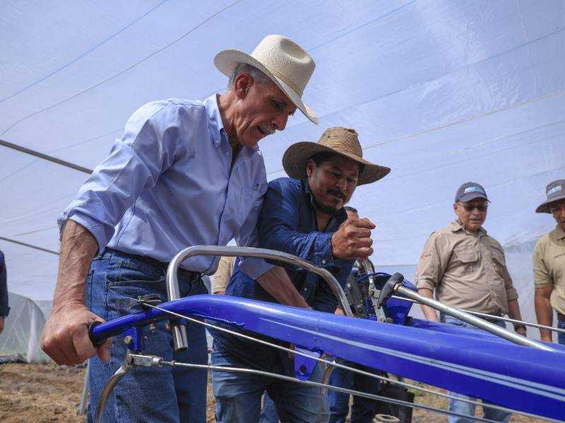 La iniciativa, impulsada por el Gobierno de Asfura, ha destinado más de 60 millones de lempiras en 2026 para capacitar y apoyar a productores del occidente de Honduras.