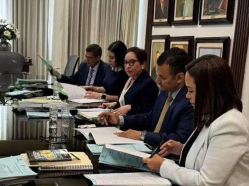 La Sala de lo Constitucional sostuvo que existe una designación vigente y legalmente respaldada.