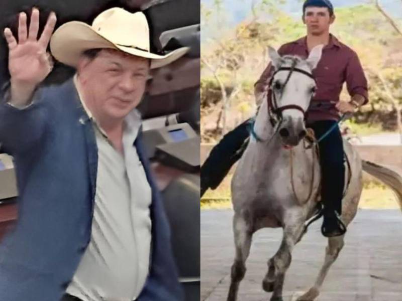 La reciente captura del exdiputado suplente del partido Libertad y Refundación (Libre), Víctor Hugo Romero Chinchilla, hizo recordar el secuestro de su hijo, Víctor Hugo Romero Espinoza, ocurrido en 2014.