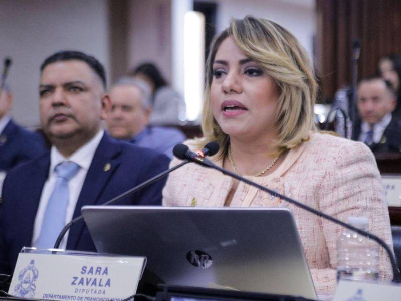 Zavaña consideró que es necesario analizar por qué las personas que laboran en la economía informal no optan por incorporarse al empleo formal mediante este mecanismo.