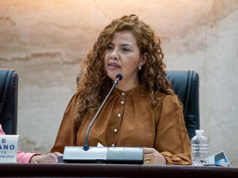 Fue la diputada Karla Figueroa, vicepresidenta del Congreso Nacional, quien presentó esta iniciativa de ley.