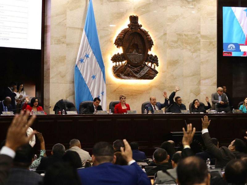 Fotografía en el Congreso Nacional del 2 de mayo de 2025.