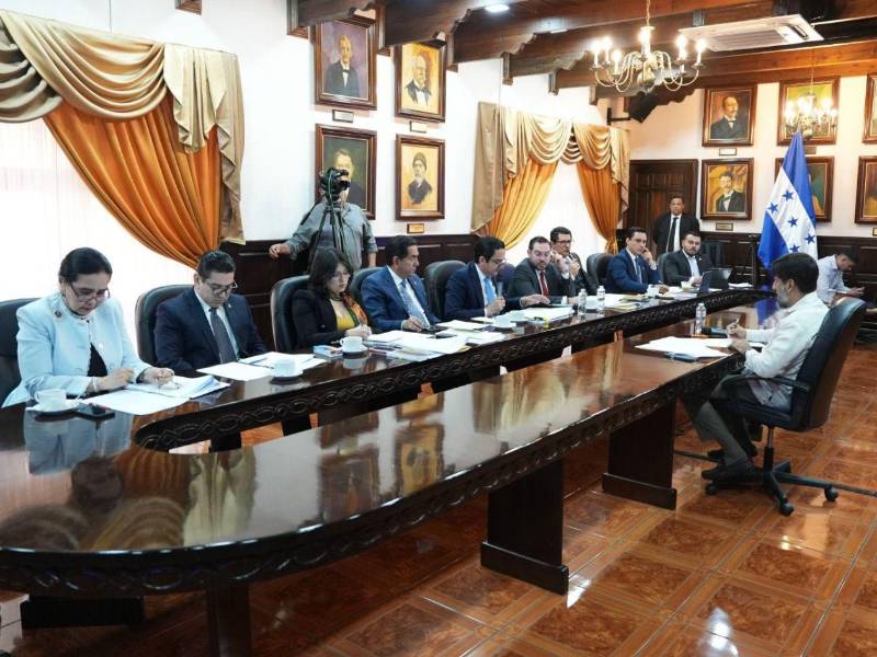 Los congresistas deben conocer a profundidad el contenido del informe presentado por la comisión especial.